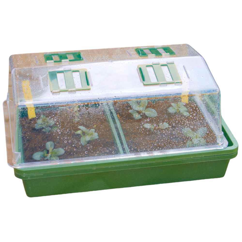 MINI SERRE HEATING GROW